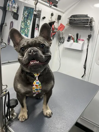 Nails to Tails Mobile Pet Grooming — photo from their website