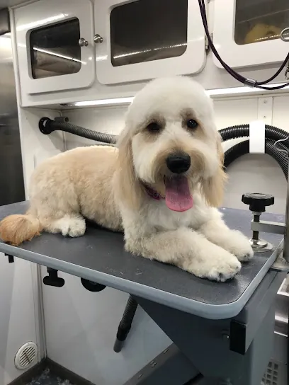 AAA K-9 Mobile Grooming — photo from their website
