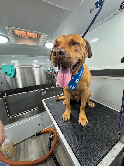 Wow Dog Mobile Grooming — photo from their website