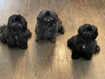 Ciah's Mobile Grooming — photo from their website