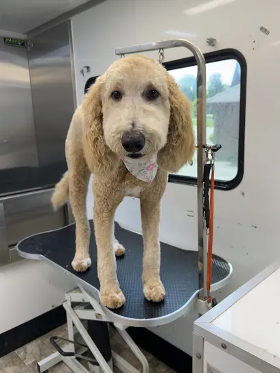 Doggy Doodle Doos Mobile Grooming — photo from their website
