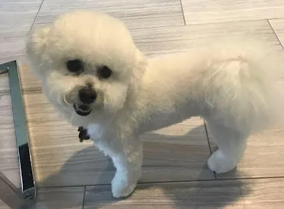 Ashli's House Call Pet Spaw — photo from their website