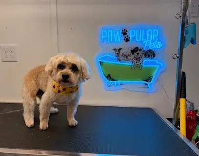 Pawpular Pets Mobile Dog Grooming — photo from their website