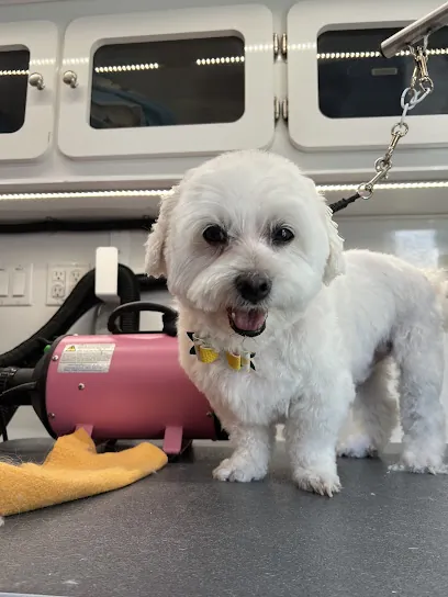Dog's Bollocks Mobile Pet Grooming — photo from their website