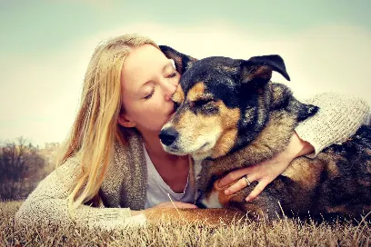 Alpha Omega Mobile Dog Grooming — photo from their website