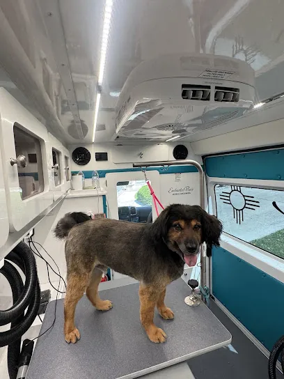 Enchanted paws mobile grooming — photo from their website