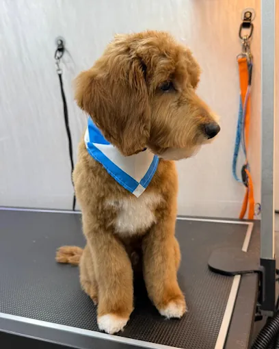 Lord Mobile Pet Grooming — photo from their website