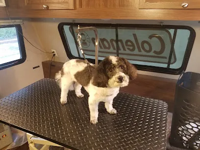 Canine Care Mobile Grooming — photo from their website