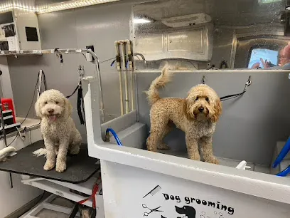 Bubbles And Bows Mobile Pet Grooming — photo from their website
