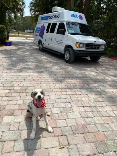 Nose to Paws Mobile Pet Grooming — photo from their website