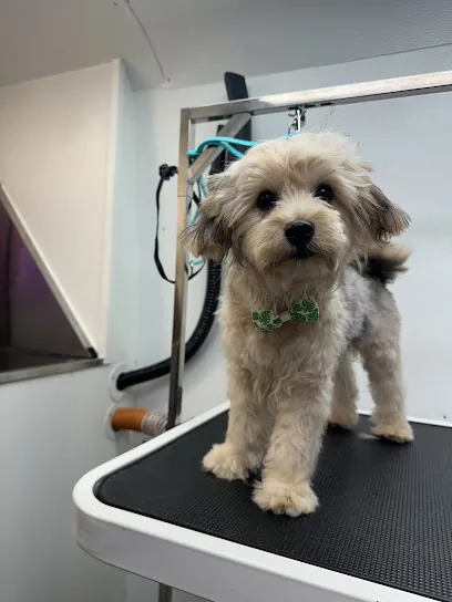 Bark and Bork Mobile Pet Spa — photo from their website