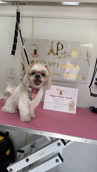 AristoPets Mobile Grooming — photo from their website