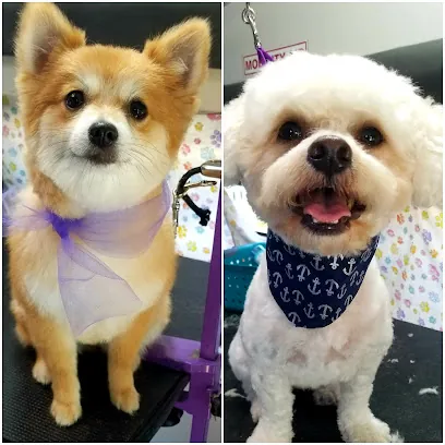 Paw Zone Mobile - Sonoma County — photo from their website
