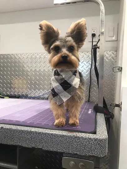 Sweeties Mobile Pet Grooming — photo from their website