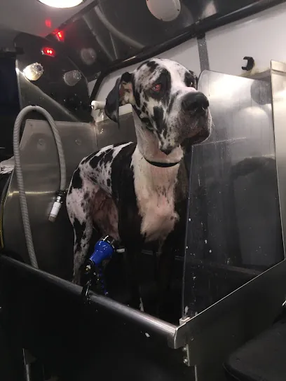 Al's At Your Door Mobile Grooming — photo from their website
