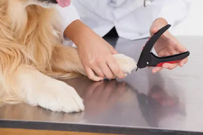 St. Charles Mobile Pet Groomers — photo from their website