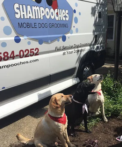 Shampooches Mobile Dog Grooming — photo from their website