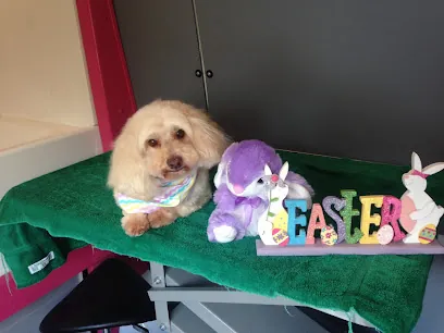 Jackie's mobile dog grooming — photo from their website