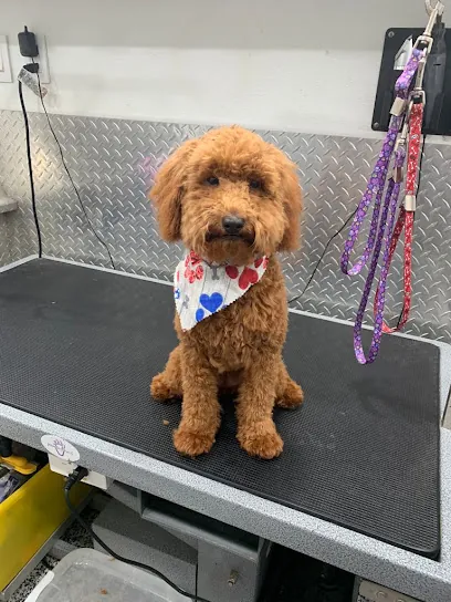 Mobile Pet Groomer Kendall — photo from their website