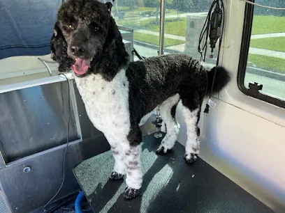 The Pack Leader Mobile Grooming — photo from their website