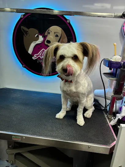 All Stylez Mobile Pet Grooming — photo from their website