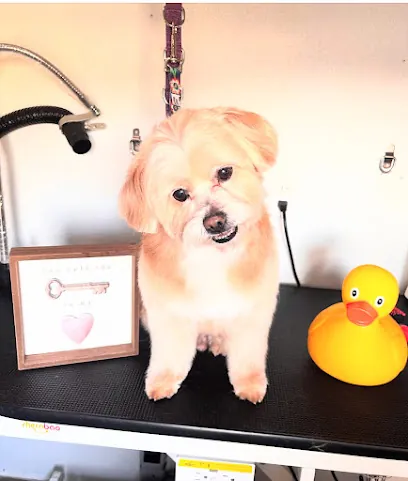 Sanroo Mobile Dog Grooming — photo from their website