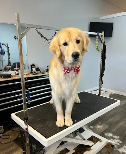 Spaw Day Mobile Grooming — photo from their website