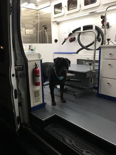 Snazzy Pet Mobile Grooming — photo from their website
