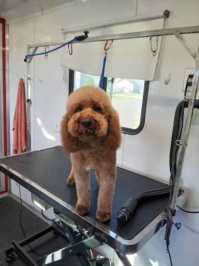Down River Ranch Mobile Pet Spa — photo from their website