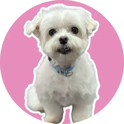 Sasha with Groomit Mobile Grooming Austin — photo from their website