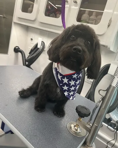 Sparkle 'N Shine Mobile Grooming — photo from their website