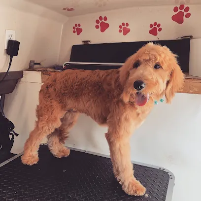 Romis mobile pet grooming — photo from their website