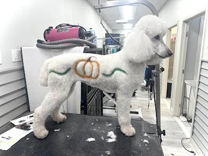 City Dog Studios Mobile Dog Grooming — photo from their website