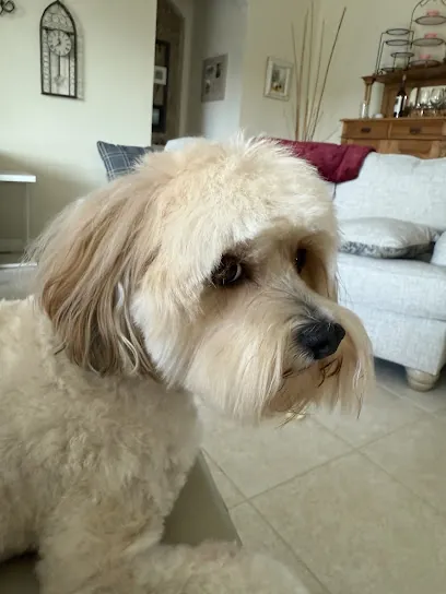 S.S. Clipper Mobile Dog Grooming — photo from their website