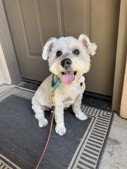 Mutz Cutz Mobile Pet Grooming — photo from their website