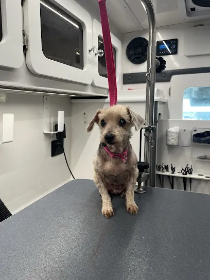 DapperTails Mobile Pet Grooming of Nashville — photo from their website