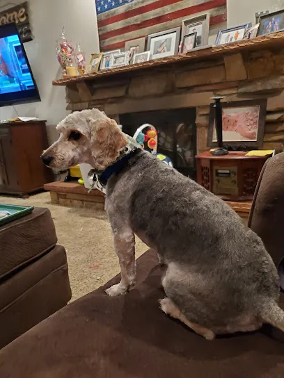 Dog's Delight Mobile Grooming — photo from their website