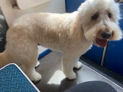 Mobile dog grooming by Sheila’s Pet Palace — photo from their website