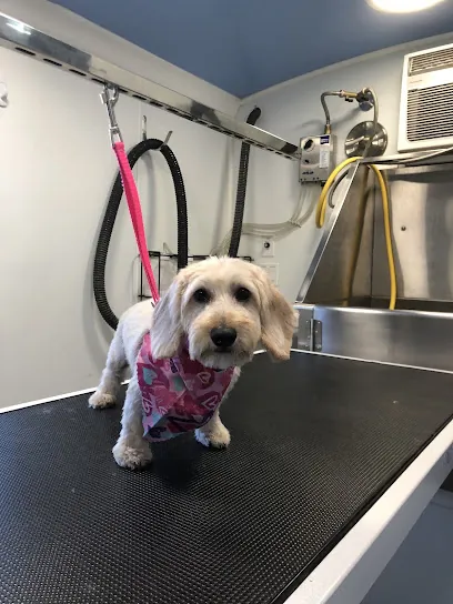 "Paw"miere Mobile Pet Spa — photo from their website