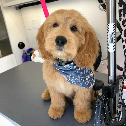 Peachy Paws Mobile Grooming — photo from their website