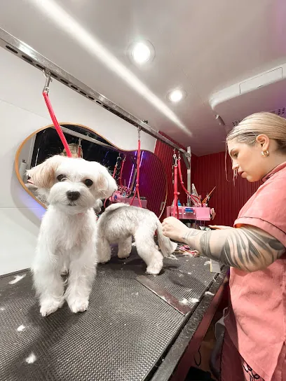 SPAAWS Mobile Pet Grooming — photo from their website