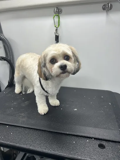 Aussie Pet Mobile of Minnetonka — photo from their website
