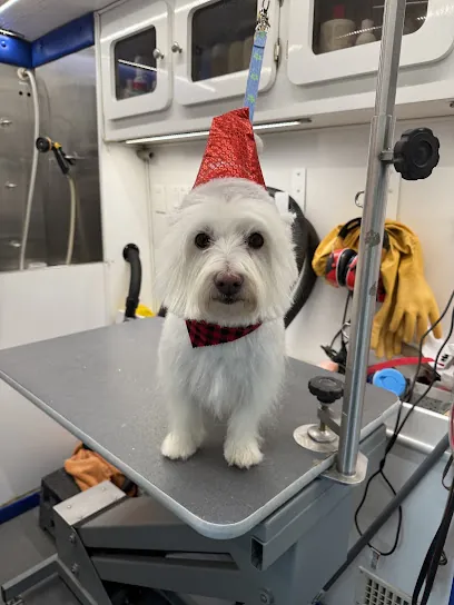 Idaho Luxe Mobile Grooming — photo from their website