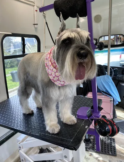 Little Bear Mobile Dog Grooming — photo from their website
