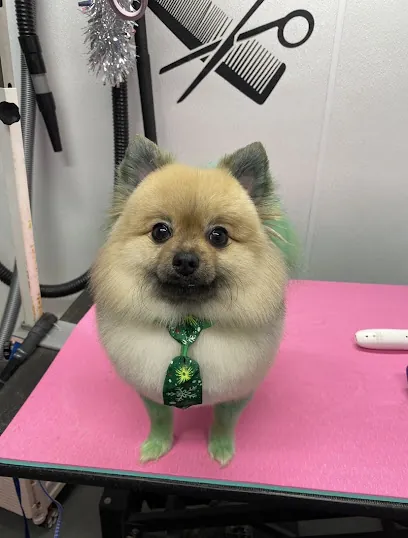 Ty-D Pet Grooming (Mobile Dog Grooming) — photo from their website