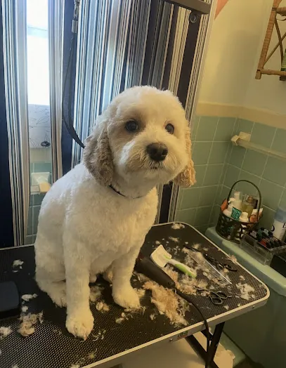 Paws R Us In-Home Mobile Grooming — photo from their website