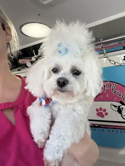 Pooch Planet Mobile Grooming — photo from their website