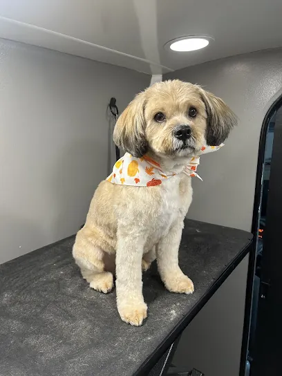Peaceful Paws Mobile Dog Spa — photo from their website