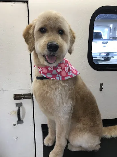 Paw Spa Mobile Grooming Spokane — photo from their website
