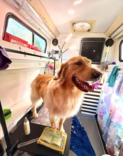 Peace Love Pawz Mobile Grooming — photo from their website